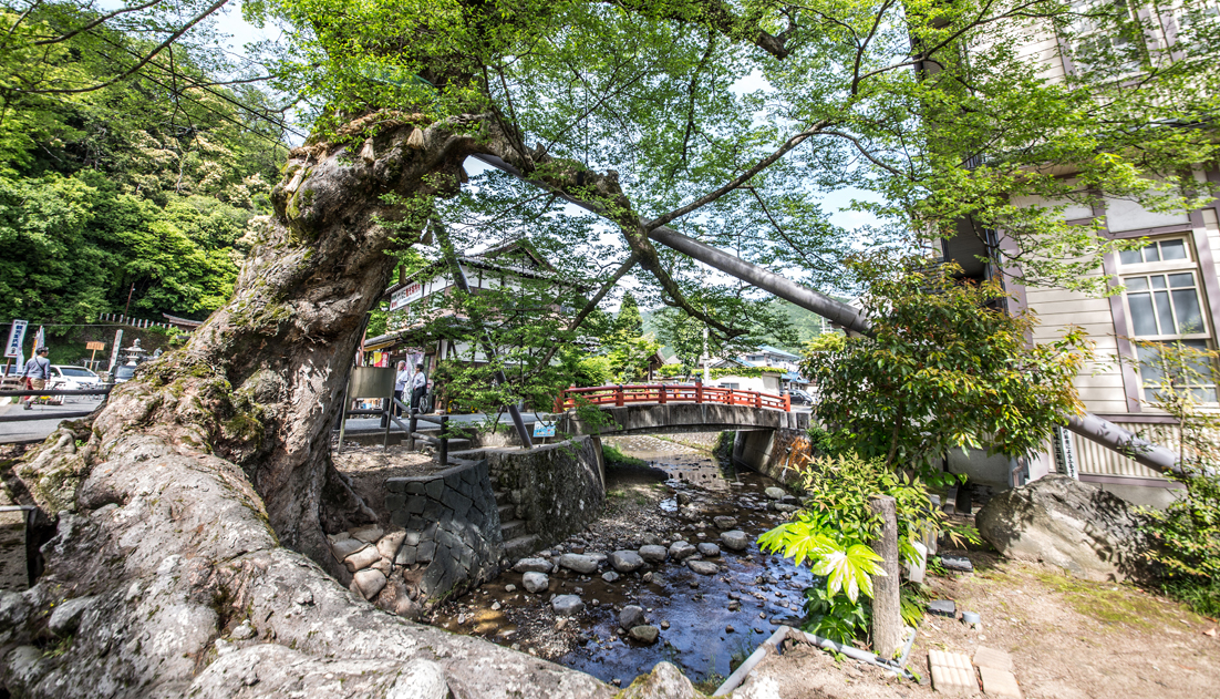 中島大祥堂